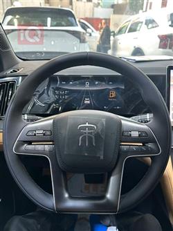 بي واي دي كوين L DM-i